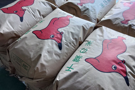 ★クリスマス限定価格 25袋限定★2025年産【令和7年新米】『コシヒカリ』　玄米30kg 千葉県産　家庭用に贈答品（お歳暮）に！