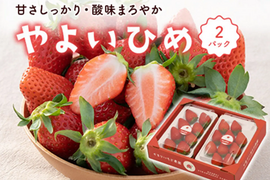 2パック｜とっても甘〜い大粒いちご！ぐんまが誇るやよいひめ！500g