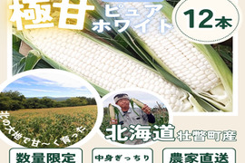 厳選品！北海道産ピュアホワイト１２本（５㎏以上）
