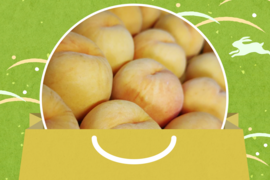 【フルーツの福袋】桃食べ比べセット！（訳あり家庭用10㎏）