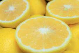 はるか　10Ｋ　熊本不知火産　上品な甘さ！