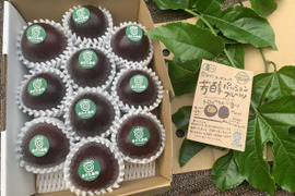 🌺販売中🌺\\はじめましてセット//
【有機JAS認証】オーガニック芳醇パッションフルーツ/『秀品1キロ¥3800→¥3300』/贈り物にもおすすめ◎/芳醇な香り/濃厚な味わい！