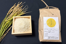 令和７年産 北海道 ななつぼし 【精米５kg】 わっさむのおこめ