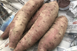 自然栽培さつまいも 紅あずま(3kg)