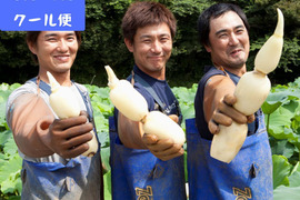【美肌】夏れんこん2kg  ★冷蔵便でシャキ旨直送 贈り物に◎至高の美味しさ/ 蓮根 / レンコン