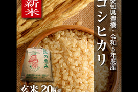 【新米】【節減対象農薬6割減】コシヒカリ 玄米20g（10kg×2袋）【令和5年・愛知県産】
