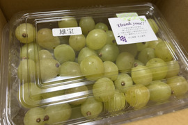 家庭用『雄宝　粒』1kg