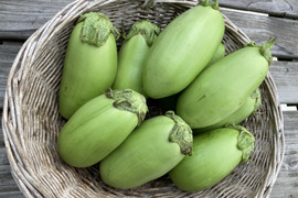 残りわずか！ふわトロ食感の緑ナス(2kg)