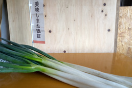 今年のご縁に感謝！『浄善寺ねぎ　２㎏　』であったまろう！しっかり太りました。
