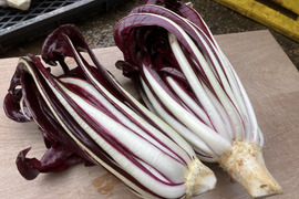 【希少国産】イタリア高級野菜 タルティーボ 2個セット （150ｇ×2）タルディーボ