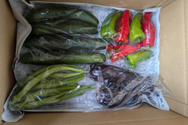 【栽培期間中　農薬不使用！】きよさんが旬のお野菜をセレクト！季節の野菜セット小 (60サイズに入るだけ　3種類程度）