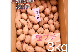 【絶品】大人気！安納芋 極プチサイズ 3kg(箱別)
