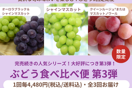 【限定200セット】ぶどう食べ比べ便第３弾※送料込※（食べチョク公式）