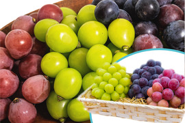 花笑み農園　岡山の訳ありブドウ3種MIX1kg【9/18～順次発送】W3M-1