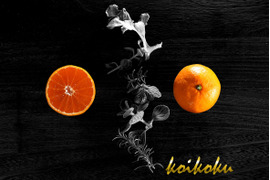 【濃い甘！自慢の濃厚冬みかん】コイコク（恋い告）2ｋｇ（箱込み）　【冬ギフト】【熨斗対応可】