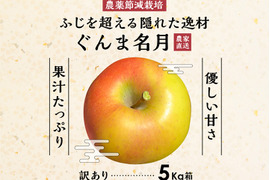 このりんごを嫌いな人はいますか？？名月 5キロ箱 訳あり品 商品ID75987 長野県 信州 安曇野 リンゴ 幻 幻のリンゴ 予約 希少 旬 甘い