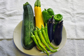 【栽培期間中　農薬不使用！】旬の夏野菜をBBQで味わい尽くす福野菜セット(80サイズの箱に入るだけ　3-5種類程度）