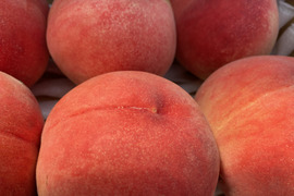 【夏ギフト】あかつき🍑もちっと甘い！朝採れ発送します
