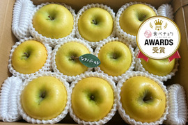 シナノゴールド約3キロ箱(家庭用)8〜11玉⭐️ ID184671  甘酸っぱい りんご