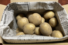希望と明るさの”きたあかり”新じゃが約2kg