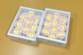 🍑🍑おかやまの白桃　中箱【6〜11個】2箱セット【ご自宅用】