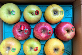 🍏🍎おうちで食べたい🍏🍎ジューシー◆甘さが違う！晩生種葉とらず入り品種ミックス🍎お家用３キロ