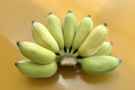 もちっと　とろける甘さアップルバナナ　2㎏