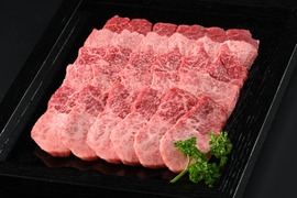 【牧場オーナー厳選】極旨 若狭牛食べ比べ 霜降りと赤身の贅沢極み焼肉盛り合わせ 600g （2-3人前）