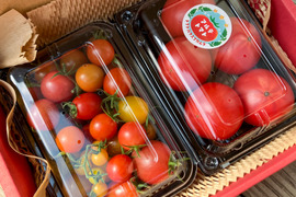 アルテトマトとアルテmini☆看板商品2Pセット【トマト食べ比べ】