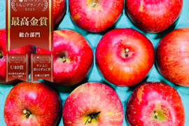 りんごグランプリ2025最高金賞1位🎊【味は贈答と同じです！】サンふじ 10キロ箱 訳あり品 ID00624長野県 信州 安曇野 リンゴ 幻 幻のリンゴ 予約 希少 旬 甘い 10キロ箱 お得