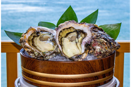 徳島県産 天然 岩牡蠣
【特々大  ５ヶ入】