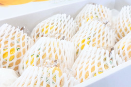 たかはし果樹園謹製 高級西洋梨「ル・レクチェ」良品 中玉 約3kg