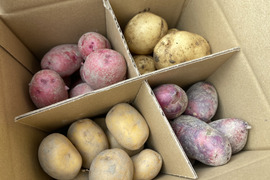 【自然栽培】じゃがいも4種類食べ比べ 20kg（5㎏×4品種）（肥料・農薬不使用）　馬鈴薯