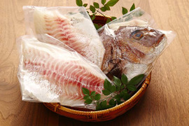 【ブランド真鯛で祝い鯛】甘味溢れる朝採れの新鮮な真鯛をすぐにお届け！【３枚おろし皮なし】