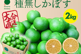 生でギュッと！残暑にはスッキリ種無しかぼす（２kg）