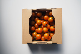オレンジ色ミニトマト 1kg【プリっとした食感・栄養満点】熊本県産：ギフトメッセージ対応