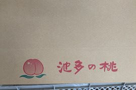 【夏ギフト】なつおとめ　池多桃10,12,14,16,18玉