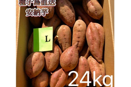 【絶品】大人気！安納芋 Lサイズ 24kg(箱別)