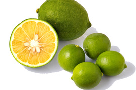 【料理＆お酒に】国産グリーンレモンとライムのセット(計3kg）