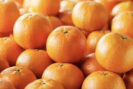 【お買い得！】【2月限定】光センサー選果機で厳選！奄美完熟たんかん10㎏