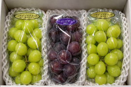 全国 送料無料！種無し皮ごと食べれる糖度16度〜20度以上『シャインマスカット2房・ニューピオーネ1房』1200g以上3房セット箱入り