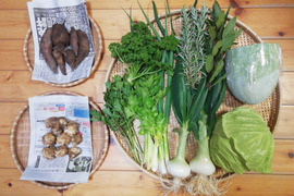 【農薬化学肥料不使用】キクイモ入り野菜セット【6~8種類の野菜】【火・金曜日発送】【あわせ買い可】【熨斗(のし)対応可】【80サイズ箱】