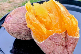 発送中🍠もはやスイーツ！ねっとり甘い安納芋Lサイズ２KG 焼き芋にピッタリ！五島の海水を使って育てました！農薬/化学肥料不使用 サツマイモ/さつまいも