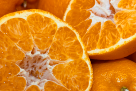 【プチプチ食感♪＆種なし】太田ぽんかん《ご家庭用 5kg》｜サイズ混合｜愛媛・西宇和産