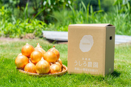淡路島玉ねぎ！加熱で甘みたっぷり♪♪ 20kg【ひょうご安心ブランド認証】