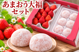 【予約販売 2026年12月中旬～順次発送】あまおう大福セット (あまおう苺約250～270g 1パック（約540g）＆大福6個)