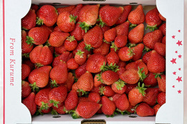 【バラ詰め】完熟あまおう２kg ジャムなどの加工用