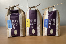 新米✨(令和4年産)北海道米満喫セット! 3品種 各2kg(精米)
