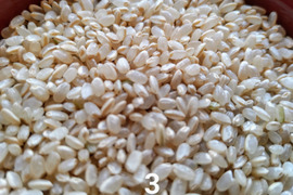 一等米✨【 栽培期間中農薬不使用コシヒカリ】【3分づき 精米10kg】天然資材＆有機質肥料のみ使用🌱1年間🌱化学肥料・除草剤・動物性堆肥不使用・米・穀類🥇１位✨AW2023【令和６年産】