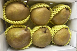 まるせい果樹園のラ･フランス　2kg箱　玉数指定不可　nr4